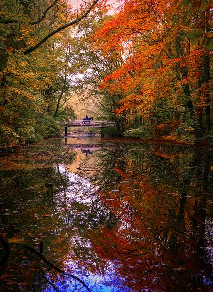 Horse riding by peterheinspictures
