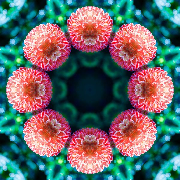 Red flowers mandala by Yanuschka | Fotografie Noordwijk