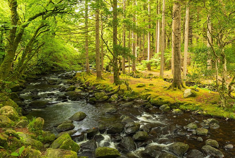 Chute d'eau de Torc Parc national de Killarney (Irlande) par Marcel Kerdijk
