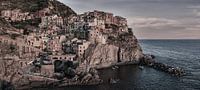 Manarola in Black and White by Henk Meijer Photography thumbnail