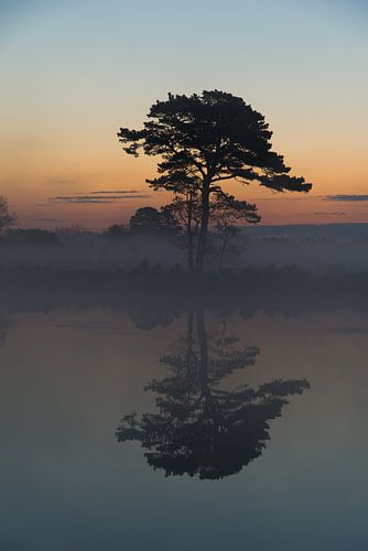 Sunrise with fog in Drenthe