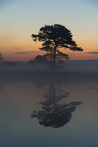 Sunrise with fog in Drenthe by Marco Bos