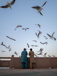Zwei Freunde füttern die Möwen in Muscat von Teun Janssen