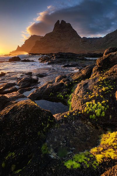 Tenerife von Marvin Schweer