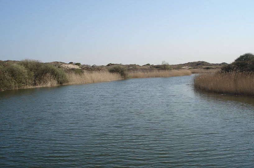 Landscape - The Netherlands 2 von Lyn Van Veldhoven