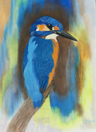 Eisvogel