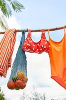 Hello summer on the line