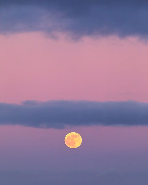 Volle Maan! van Karin de Bruin