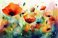 Coquelicots