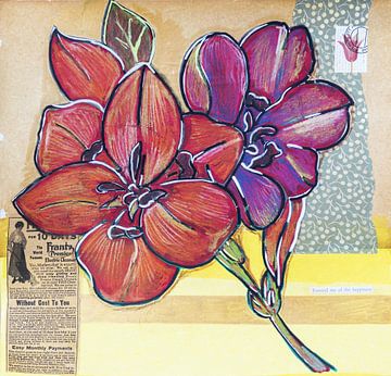 Illustratie van planten en bloemen in collagestijl van Ariadna de Raadt-Goldberg