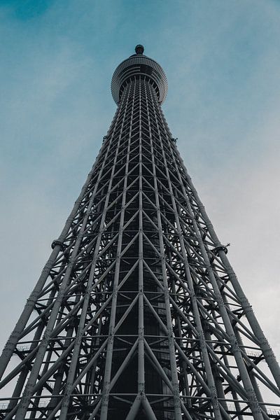 Tokyo by Hello Pompoyo