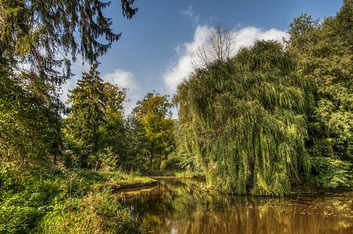 De kloostervijver  van Huize Damiaan in Simpelveld