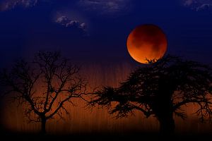 Blut-Mond in Landschaft mit Bäumen, Niederlande