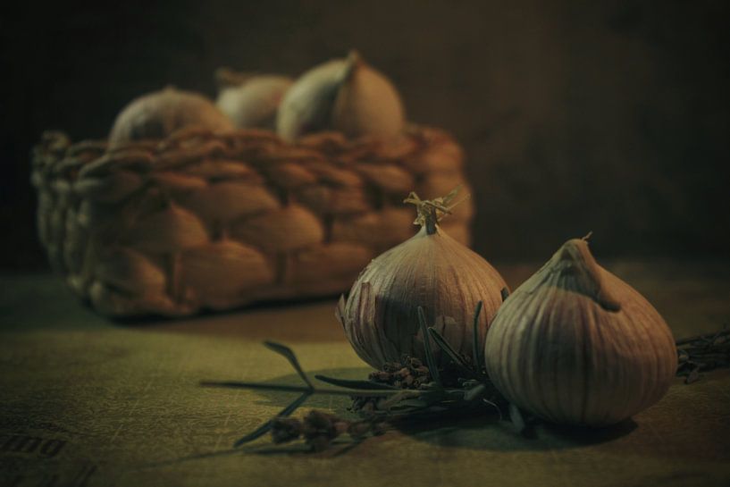 Stilleven by sandra ten wolde