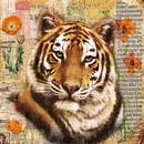 Tiger von Jacky Miniaturansicht
