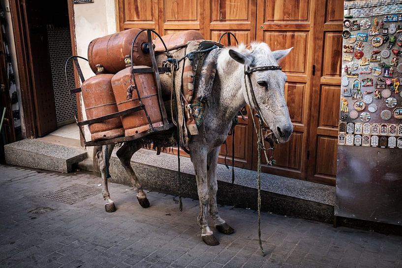 Morocco. A completely different world. by Eddy Westdijk