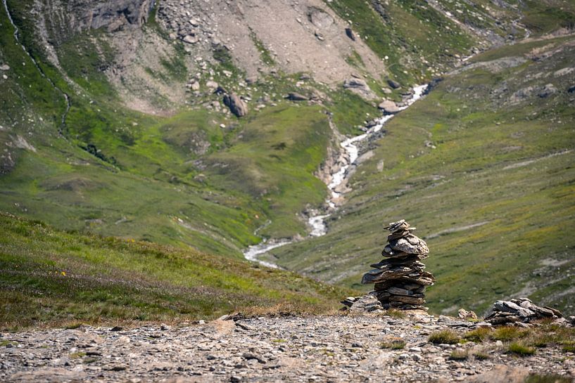 Fortune bug on a mountain pass by Mickéle Godderis