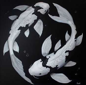 Koi
