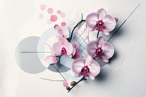 Orchids