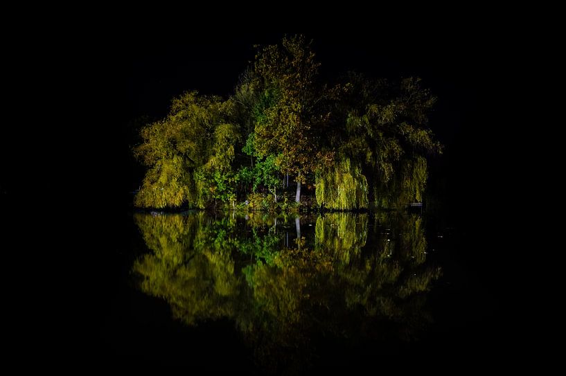 Arbres dans le lac par Johan van Esch