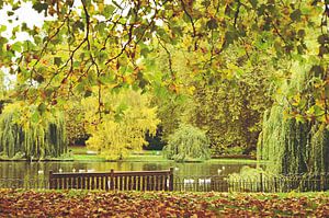 Herbst im St. James' Park, London, England von Daphne Groeneveld