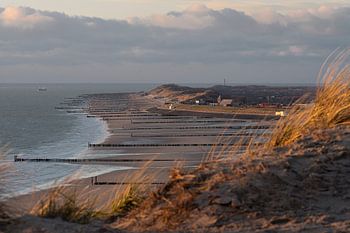 Zoutelande im Goldglanz