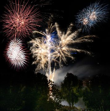 Groot vuurwerkspektakel in een park van ManfredFotos