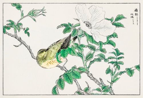 Illustratie met Bulbul en Rosa Rugosa door Numata Kashu