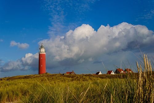 Vuurtoren van Texel van Wijnand Medendorp