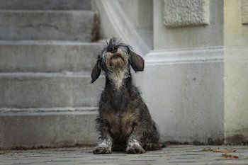 Alte Dame auf der Treppe