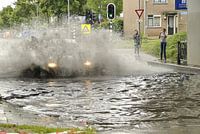 Splash