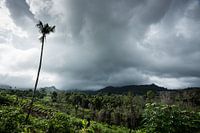 Ambon - Intérieur