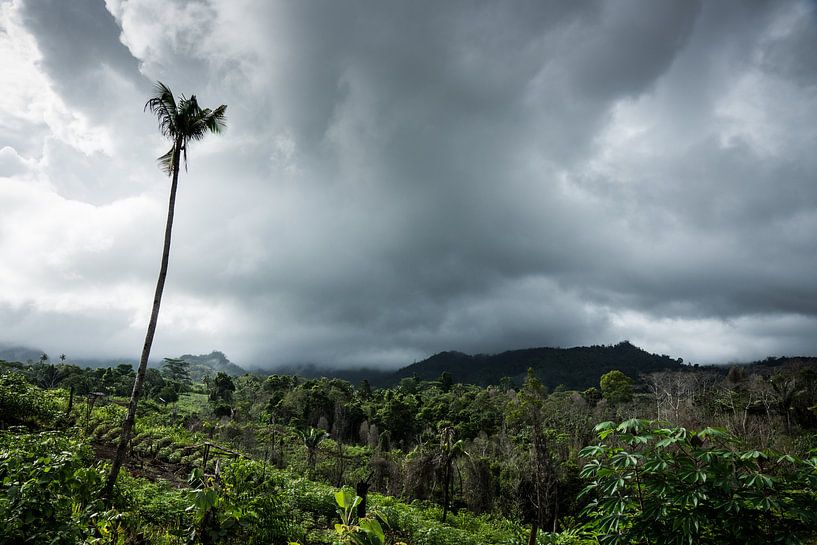 Ambon - Intérieur par Maurice Weststrate
