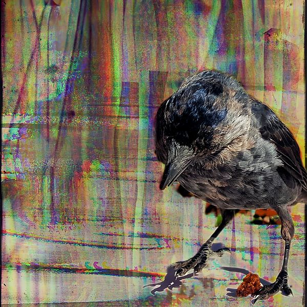 Der Rabe von Andree Jakobson