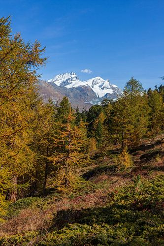 Rimpfischhorn und Strahlhorn, Zermatt, Wallis, Schweiz, Europa