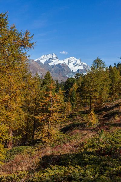 Rimpfischhorn und Strahlhorn, Zermatt, Wallis, Schweiz, Europa von Torsten Krüger