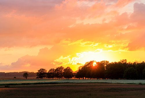 Sunset Dwingelderveld - Drenthe (Netherlands)