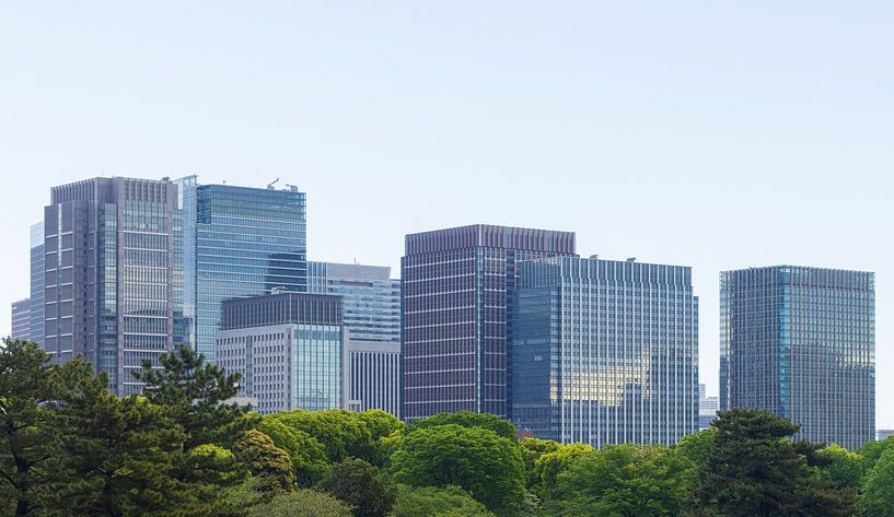 Tokyo Imperial Palace and National Garden Kokyo (Japan) by Marcel Kerdijk
