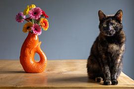 Gerbera en poes van Lyssanne Ponsteen-Willems
