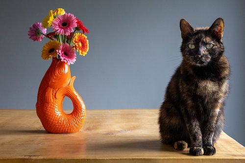Gerbera und Katze von Lyssanne Ponsteen-Willems