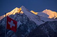 Schweizer Alpen von Menno Boermans Miniaturansicht