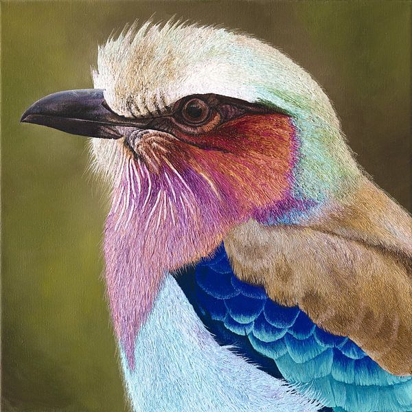 Vogel Lilac breasted roller II schilderij van Russell Hinckley