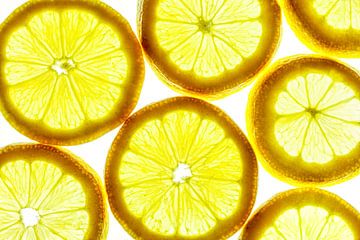 Collage de tranches de citron sur fond blanc. sur Carola Schellekens