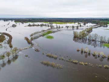Hoogwater in de Vecht bij Holst en Vilsteren
