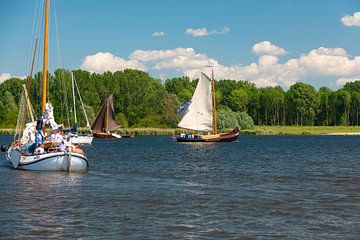 Antieke Botters op het water.