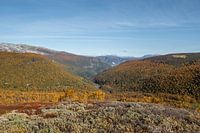 Herfst in de Noorse bergen bij Aurland