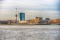 Rotterdam De Euromast von Brian Morgan Miniaturansicht