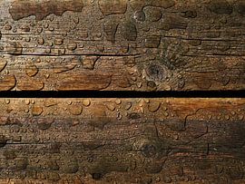 Plank and Water by Jörg Hausmann