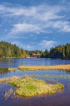 aan het meer Grosser Arbersee in het Beierse Woud van Peter Eckert