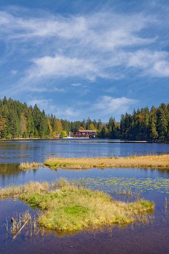 at the lake Grosser Arbersee in the Bavarian Forest